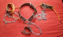 COLLAGE_20211003_171834.jpg