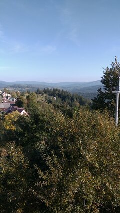 IMG_20211003_154154.jpg