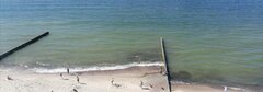IMG_20211005_005144.jpg