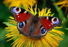 IMG_20211006_105628.jpg