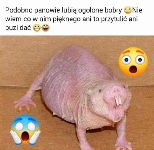 eroSexDreamTorun35