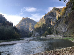 D5C67780-AA5D-4848-B1E5-98E037E677D6.jpeg