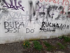 20210507_192854.jpg