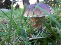 20211009_125310.jpg
