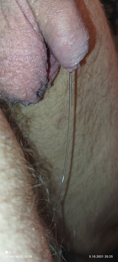 IMG_20211010_155820.jpg