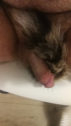 IMG_20211008_062408.jpg