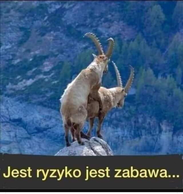 Tajemnice__Alkowy