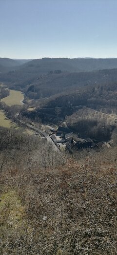 IMG_20210307_114828.jpg