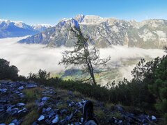 IMG_20211017_101143.jpg