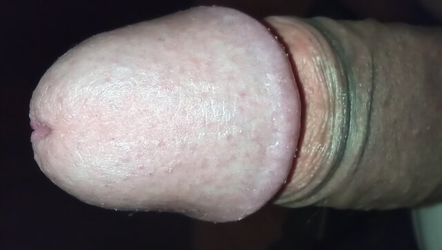 kutasior1987_2