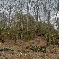 20210424_131936.jpg