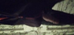 IMG_20211018_004618.jpg