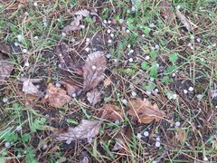 20211013_124925.jpg