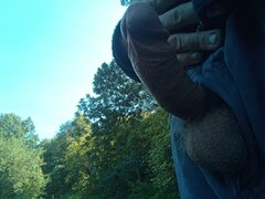 IMG_20200911_141936.jpg