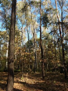 20211009_101339.jpg