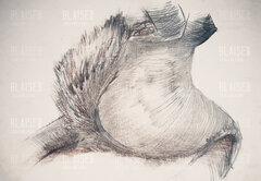 Art. No. 109