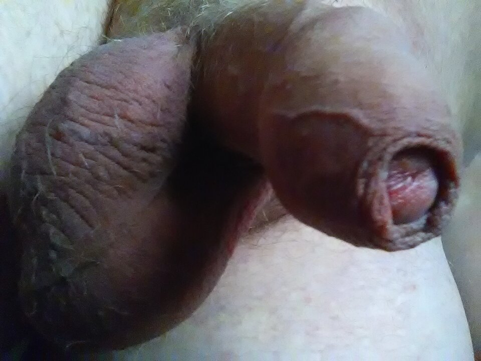 16347341316391482270130.jpg - kertoip175