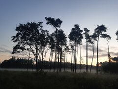 20210718_050117.jpg