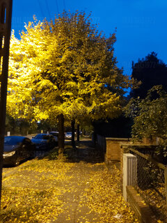 20211021_070657.jpg