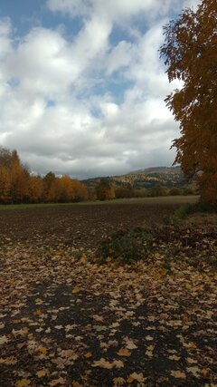 IMG_20211023_114649.jpg