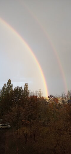 Tęcza