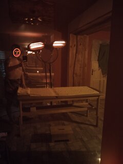 IMG_20211023_172854.jpg