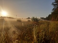20210718_055516.jpg