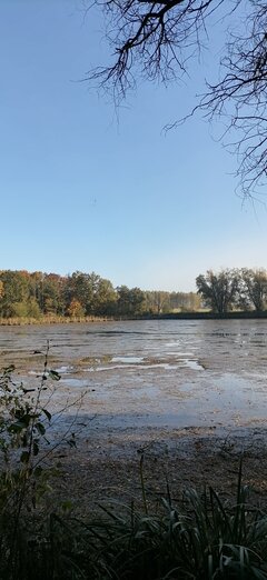 IMG_20211024_092542.jpg