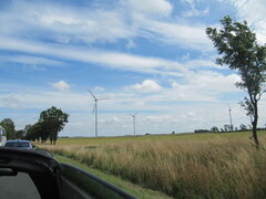 IMG_2310.JPG