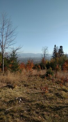 IMG_20211024_145813.jpg