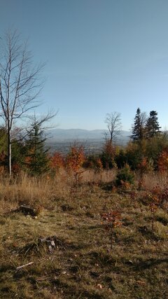 IMG_20211024_145812.jpg