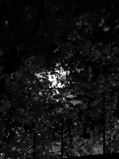 20211021_193906.jpg
