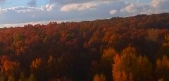 IMG_20211024_195936.jpg