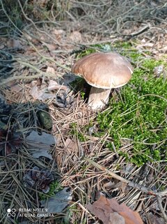 IMG_20210909_140814.jpg