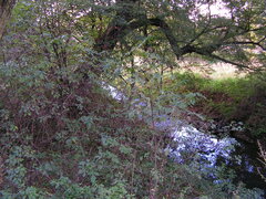 PICT0077.JPG