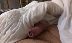 IMAG6531.jpg