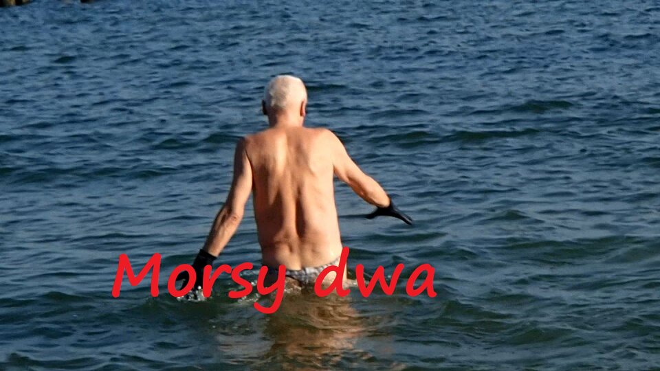 Dzisiejsza kąpiel (29 10 21) - Morsy_dwa