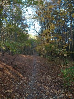 IMG_20211029_160613.jpg
