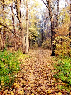 20211029_083607.jpg