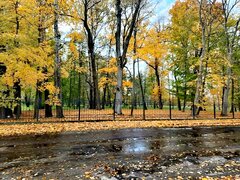 IMG_20211031_103941.jpg