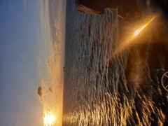 20200517_053625.jpg