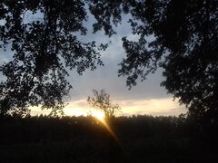 20190531_202051.jpg