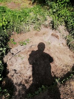 IMG_20210822_123218.jpg