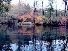 20211012_172519.jpg