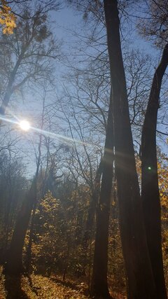 20211101_115922.jpg