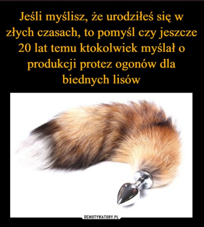 20211103_185436.jpg - sympatyczny260981
