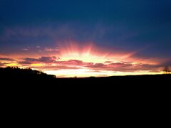 IMG_20211104_160200736.jpg