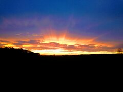 IMG_20211104_160157746.jpg