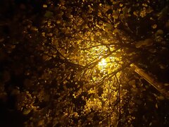 20211104_055453.jpg
