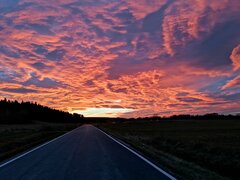 IMG_20211107_161640.jpg